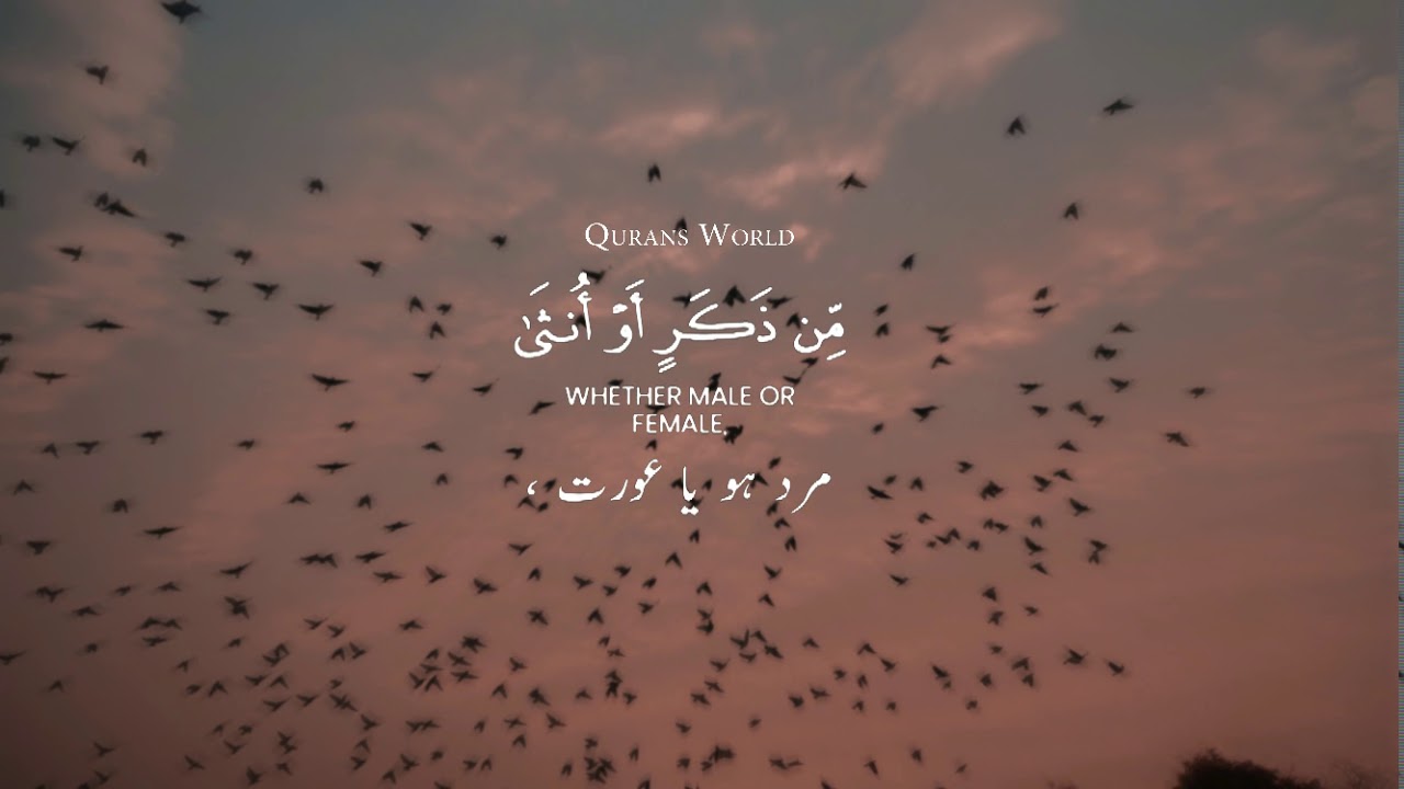 Jumma Status Most Beautiful Tilawat Quran Status