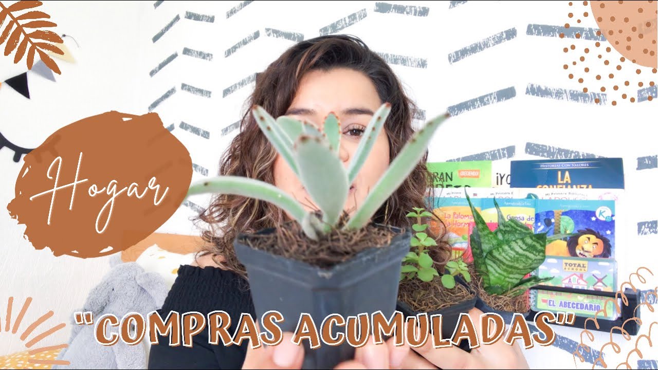 COMPRAS HOGAR | HAUL COMPRAS ACUMULADAS | Compras de decoración y organización del hogar | Otoño 🍁