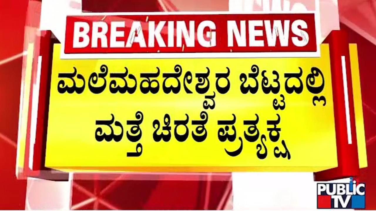 ಮಲೆಮಹದೇಶ್ವರ ಬೆಟ್ಟದಲ್ಲಿ ಮತ್ತೆ ಚಿರತೆ ಪ್ರತ್ಯಕ್ಷ | Malemahadeshwar hill | Public Tv
