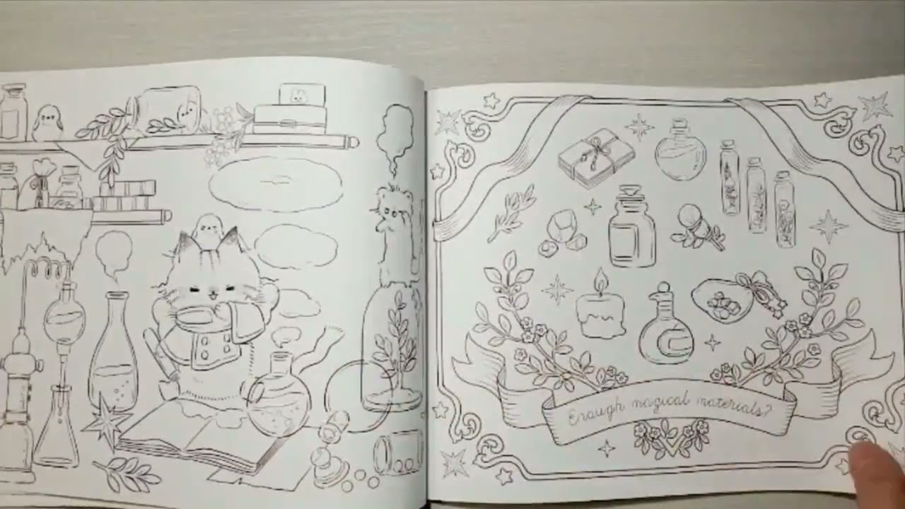 Cat, General Store and Magic Keys adult coloring book