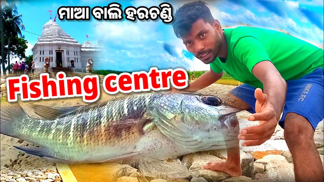 ବର୍ଷା ରେ ମାଛ ଧରି ଖାଇଲୁ / Odia Foods Vlog /Maa Bali Harachandi fishing vlogs/Sukanta Mistri Lifestyle