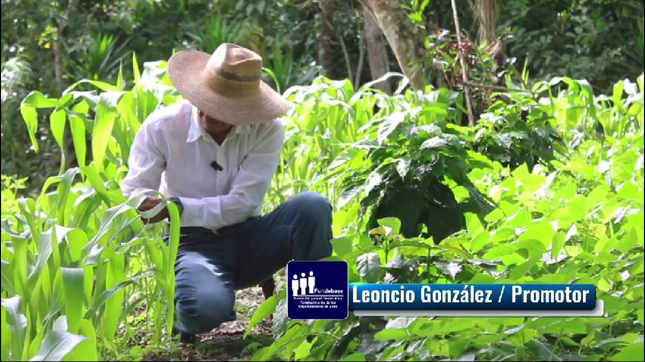 Parcelas agroecológicas en la región Xinka