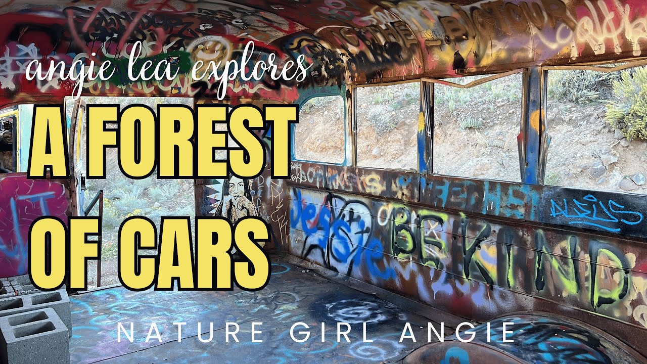 International Car Forest (of the last church) - A desert tourist attraction (Angie Lea Explores)