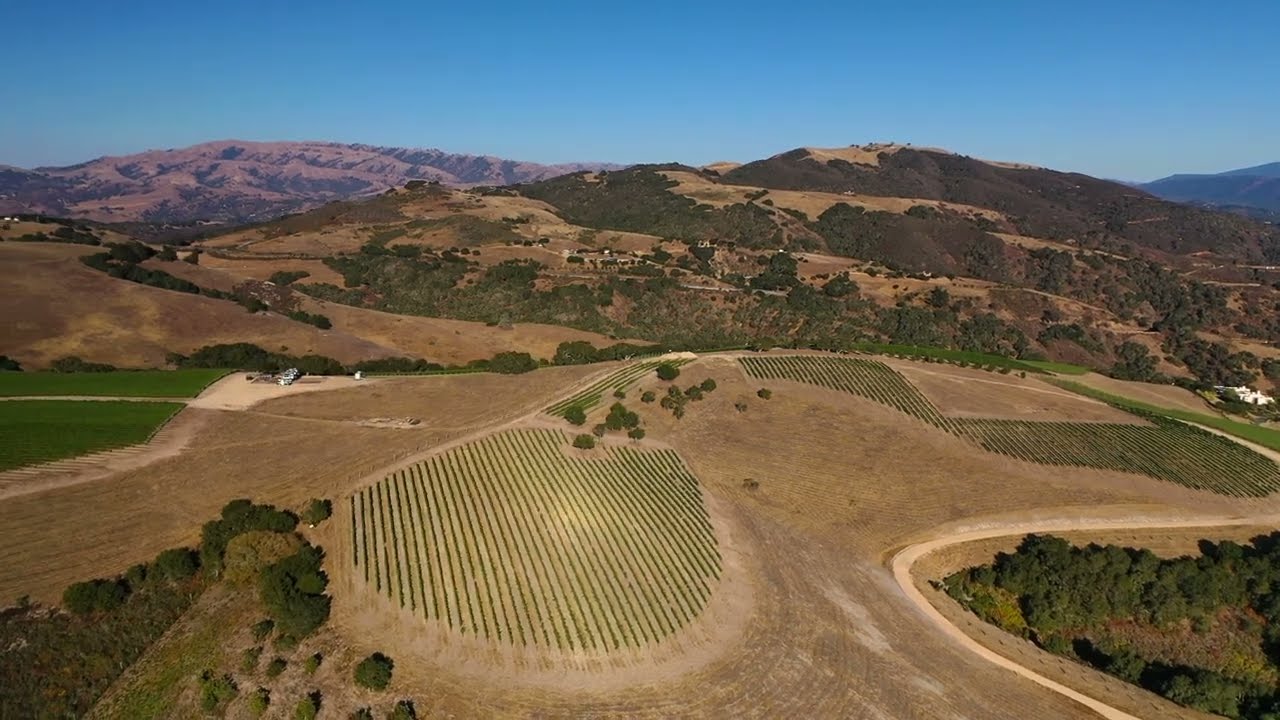 Monterey County Vineyards - Monterey AVA West of Laureles Grade