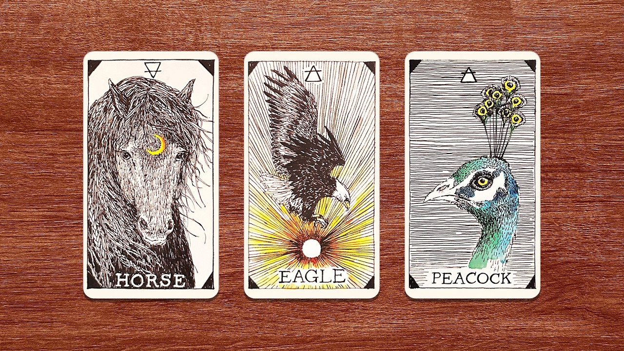 &iquest;QU&Eacute; QUIERE CONTIGO? 🤔🌹🔥 La persona en la que piensas 💜 Tarot interactivo 💜