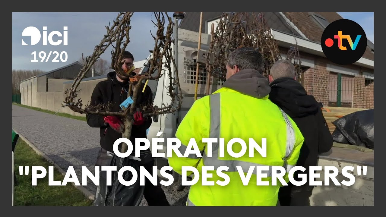 Plus de 330 arbres fruitiers plantés pour l'opération 