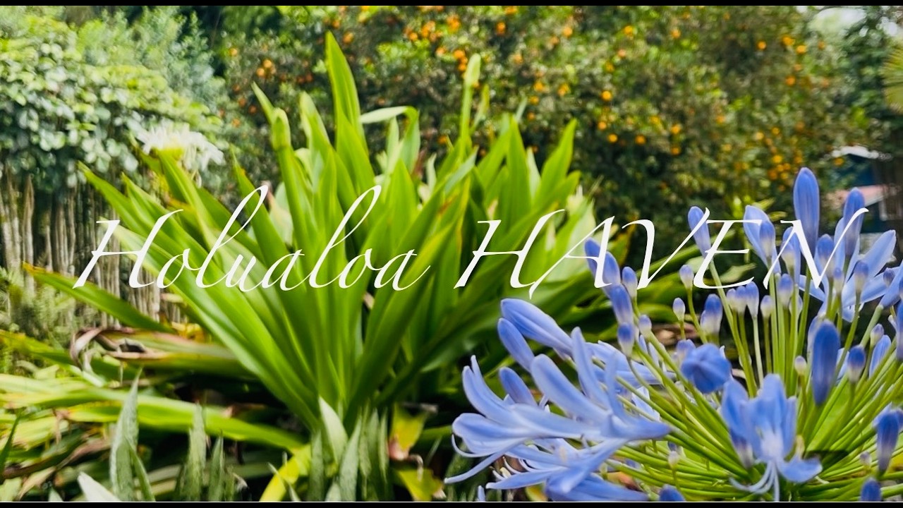 Holualoa HAVEN 🌺BIG Island