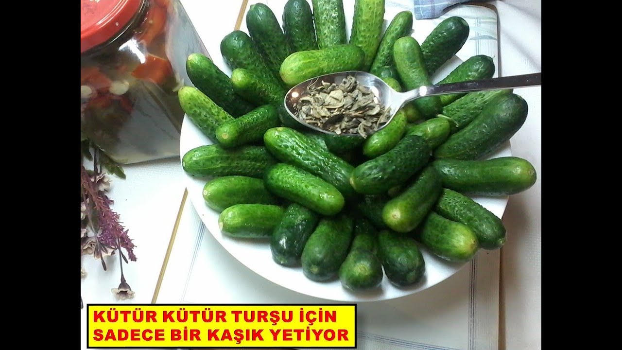 LİMON TUZU YOK SAĞLIĞINI DÜŞÜNEN TURŞUYU BÖYLE KURAR #TURŞU