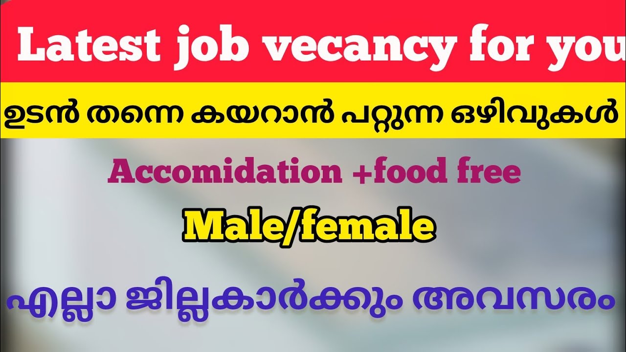 🔴latest job vecancy for you/ഉടൻ കയറാവുന്ന ജോലി ഒഴിവുകൾ 