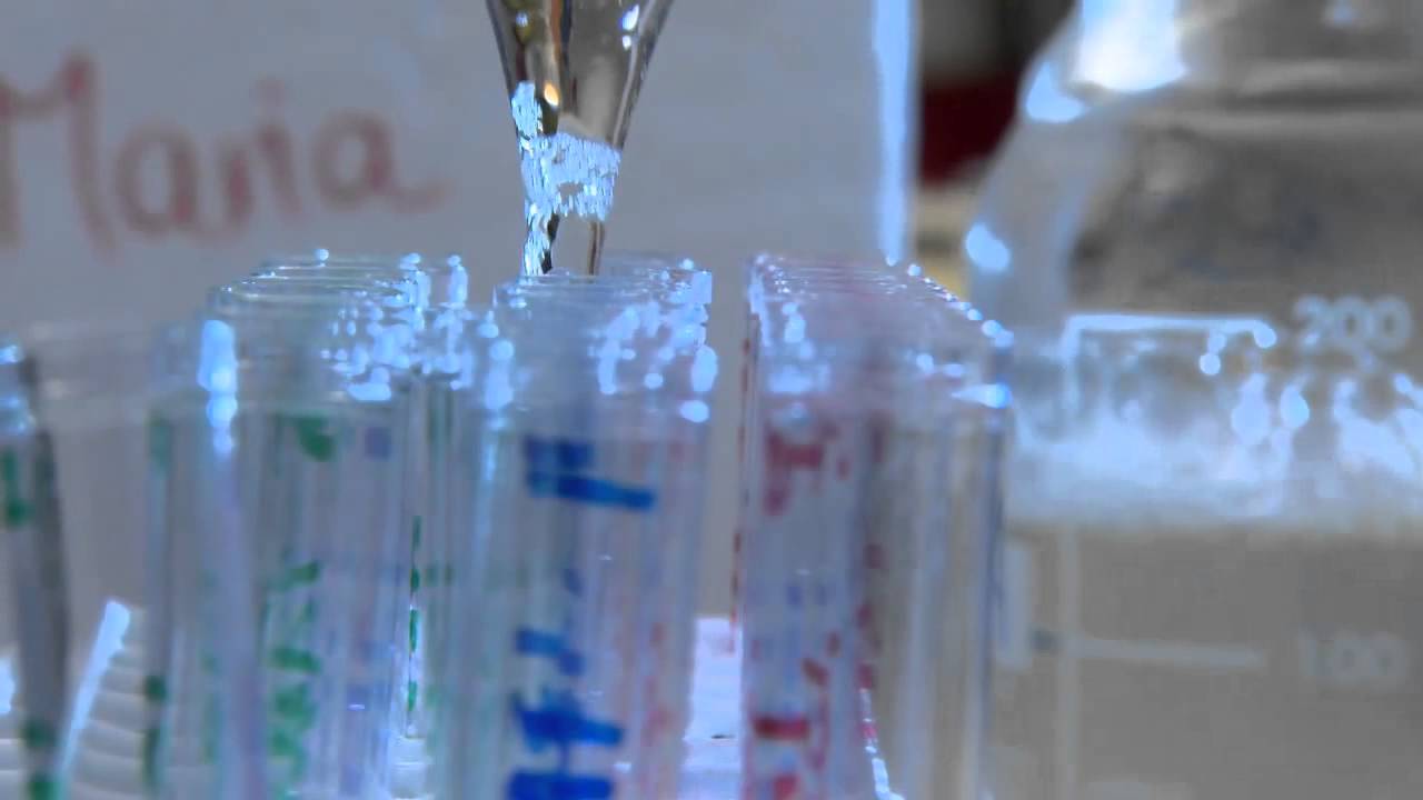 Forskning i cancer immunterapi vinder Global Excellence