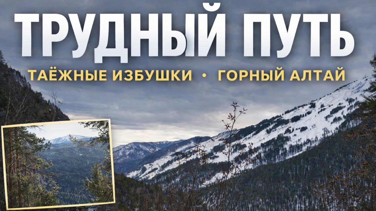 Трудный путь к таёжным избушкам | Настоящая тайга Горного Алтая