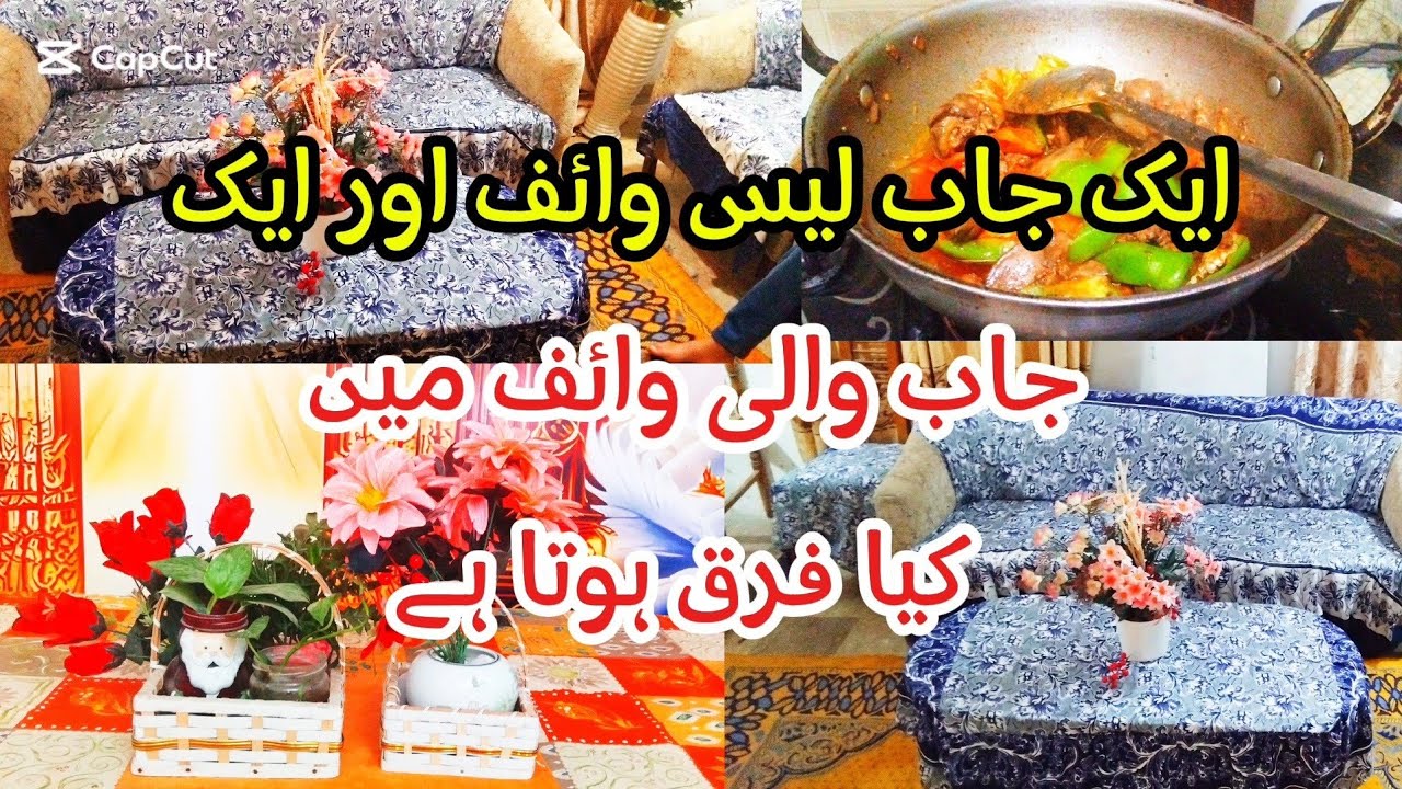 ایک جاب پلائس ہاؤس وائف اور ان جابلائز وائف میں کیا فرق ہے 