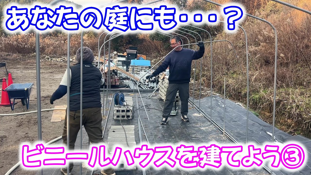 【めだか】ダイムハウスの家庭用？ビニールハウスを建てます。その③　Ｂ型おやじ　2026年　1月　14日　投稿