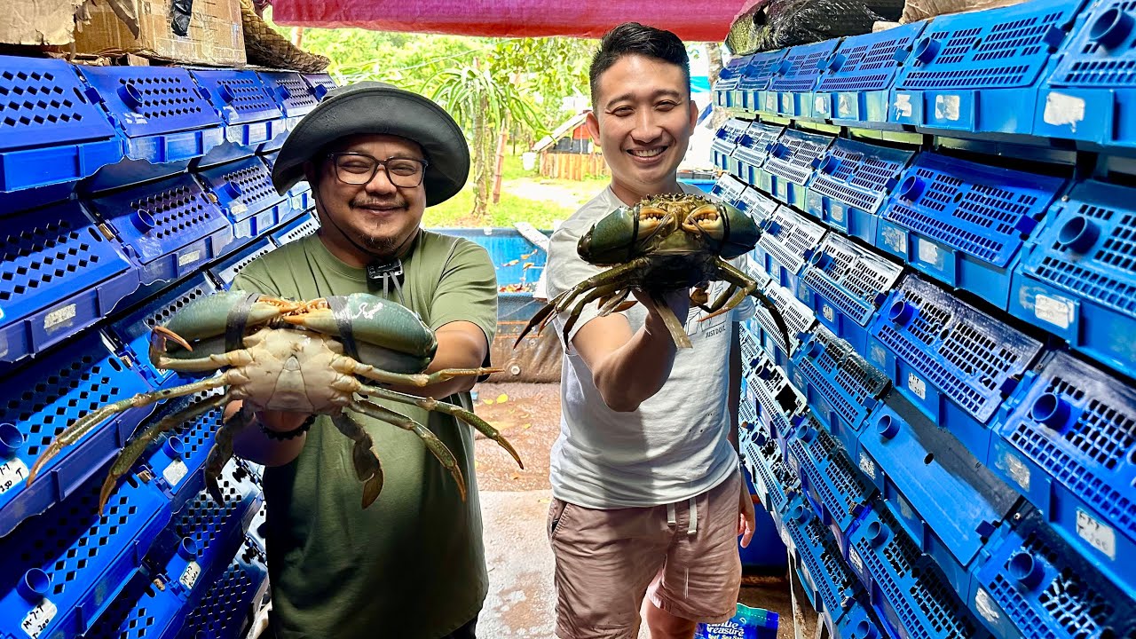 500% KITA in Just 2 WEEKS sa RECIRCULATORY AQUACULTURE SYSTEM for CRAB FATTENING!
