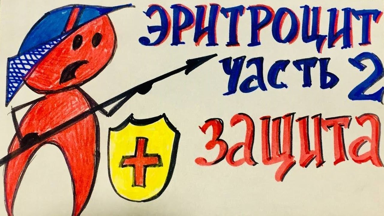 Эритроцит. Вечная борьба с агрессорами. Биохимия
