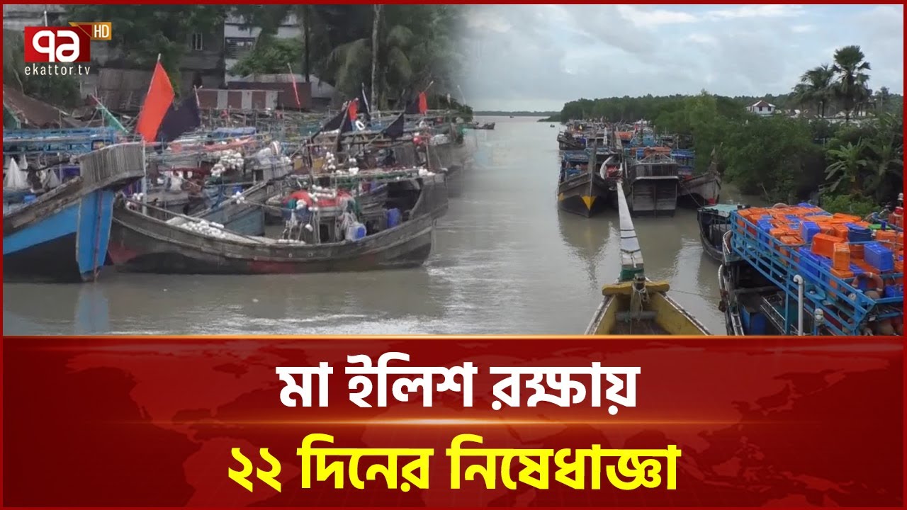 নিষেধাজ্ঞায় কর্মহীন লক্ষাধিক জেলে: পরিবারে অনিশ্চয়তা | Barguna | Ilish | Hilsa | Ekattor TV