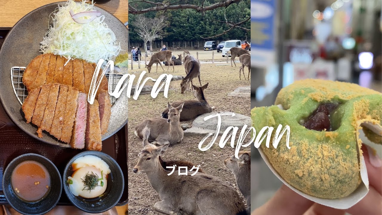 Japan Vlog | The best COFFEE, GYUKATSU and MOCHI in NARA | Bowing Deer in Nara Park | Mari Soriano