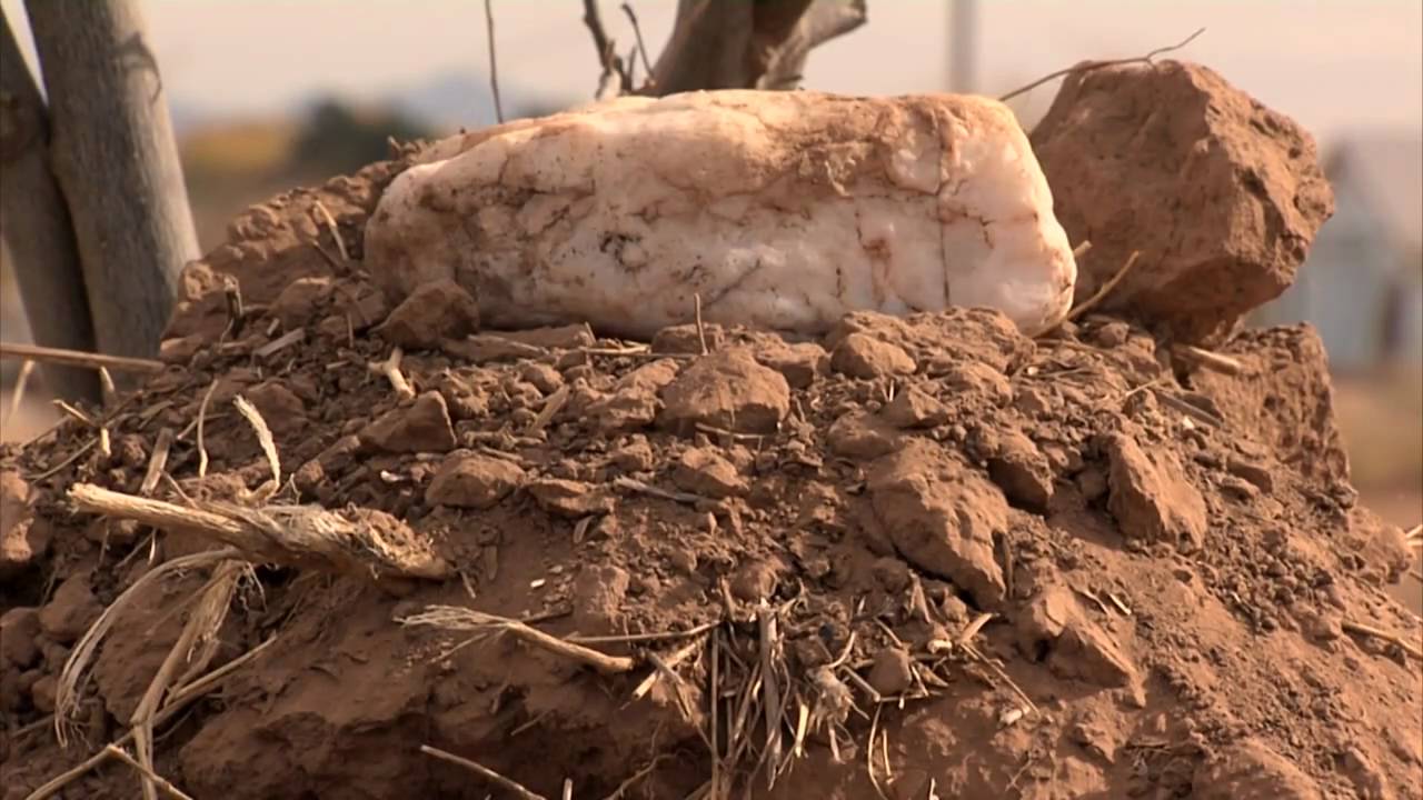 Down2Earth 9.1 - Salt River Pima-Maricopa Indian Community Traditional Farming