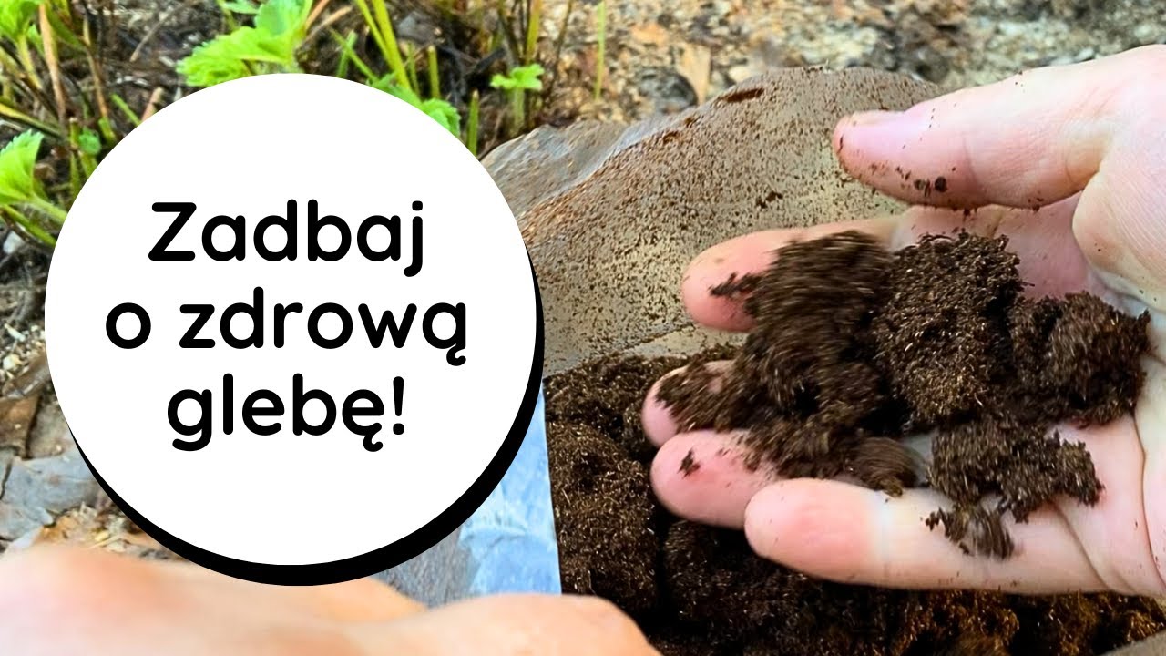 TRICHODERMA, Pożyteczne MIKROORGANIZMY Sekret Pięknych Roślin i Naturalnych, Zdrowych Warzyw #BIOaid