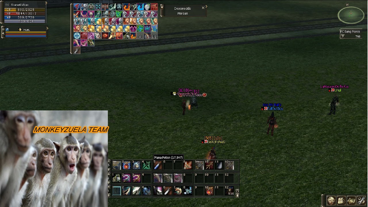 L2 Damage Argentina vs MonKeyZuelaTeaM #2