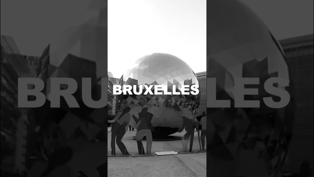 EXPERIENCE IN BELGIUM
