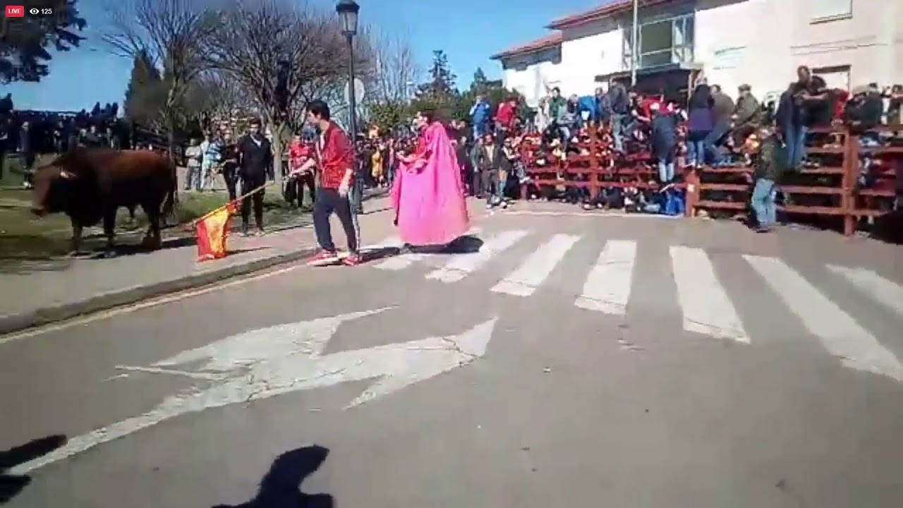 DESENCIERRO LUNES  - CARNAVAL DEL TORO 2020