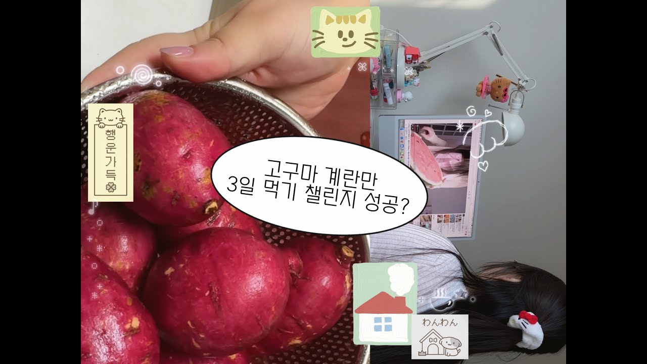 diet challenge 고구마, 계란만 3일 먹기 챌린지 성공했을까?!