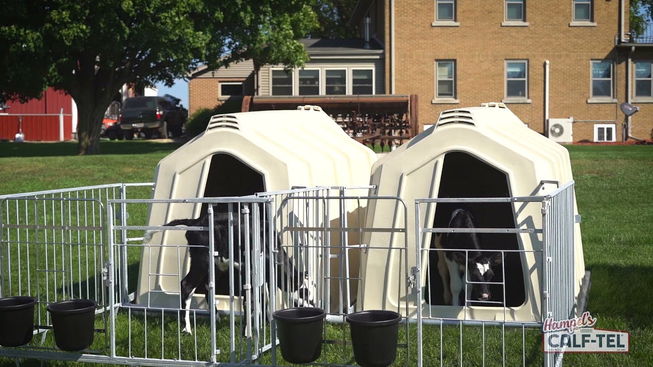 Calf-Tel New Containment Series