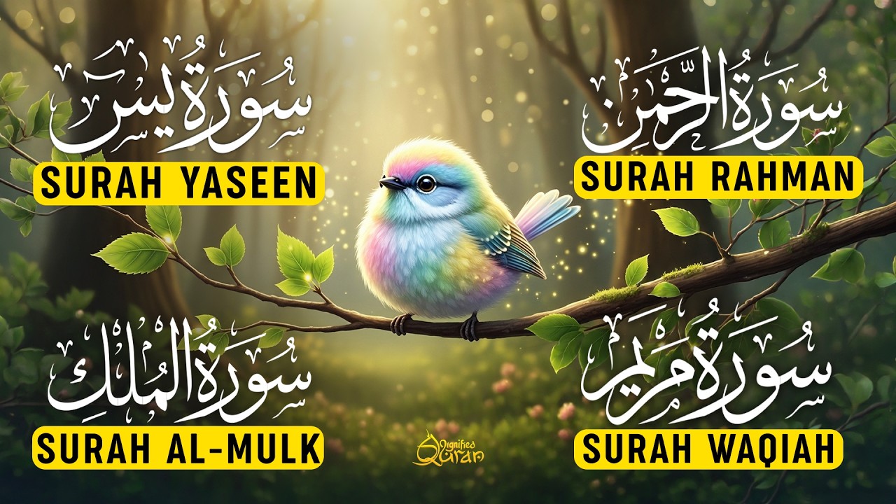 Beautiful Quran of Surah Yaseen | Surah Rahman | Surah Waqiah | Surah Mulk | Alaa Yaseer | EP07