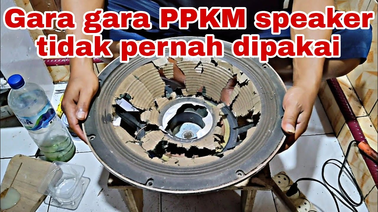 PERBAIKAN SPEAKER 15 INCH GANTI DAUN, SPUL, DAMPER