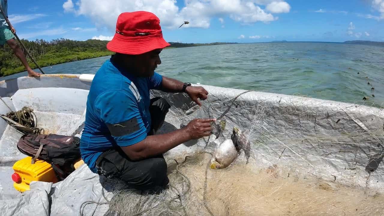Fishing For The Upcoming Village Wedding🐠🇫🇯