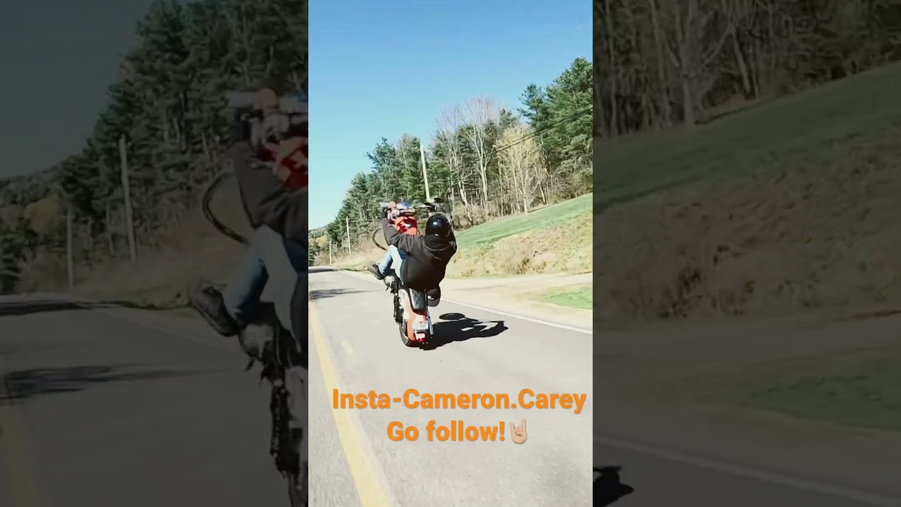 Harley wheelies #harley #scrapeitoff   #sportster1200  #harleywheelies  #saddlemen #shorts #reels