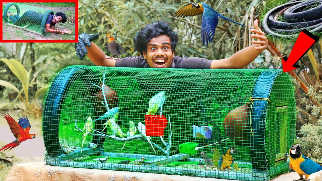 Easy Cage🔥|ബൈക്കിന്റെ പഴയ ടയർകൊണ്ട് കിടിലൻ കൂട്😍| Making a Beautiful Birds Cage Using Old Tyre|oxten