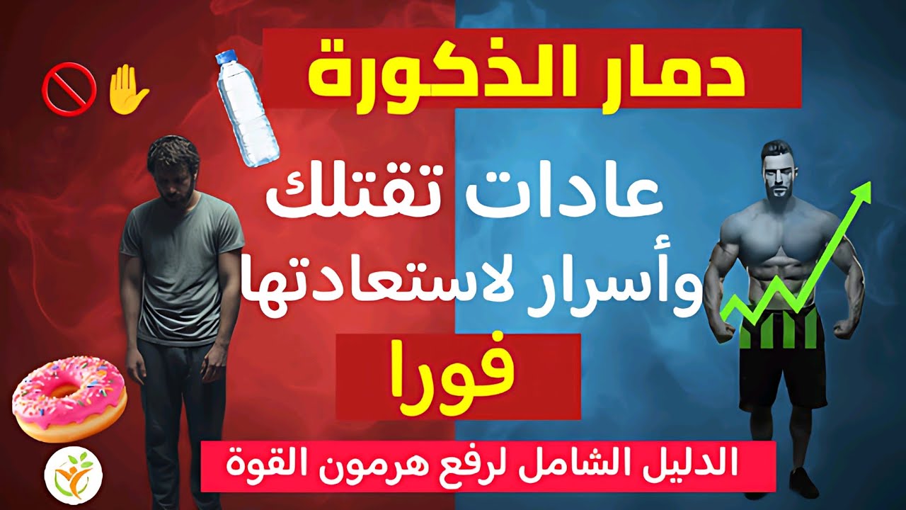 أسرار استعادة هرمون الذكورة طبيعياً: عادات تدمر توازنك وبروتوكول المحارب لزيادة التستوستيرون