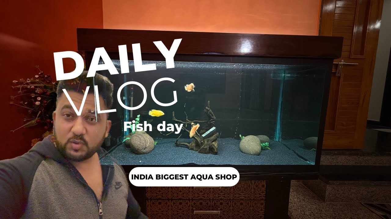 #vlog