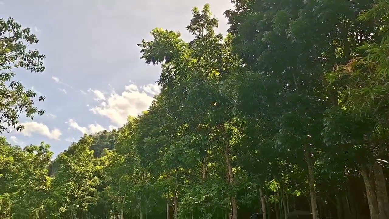River Camping @ Tagbao River