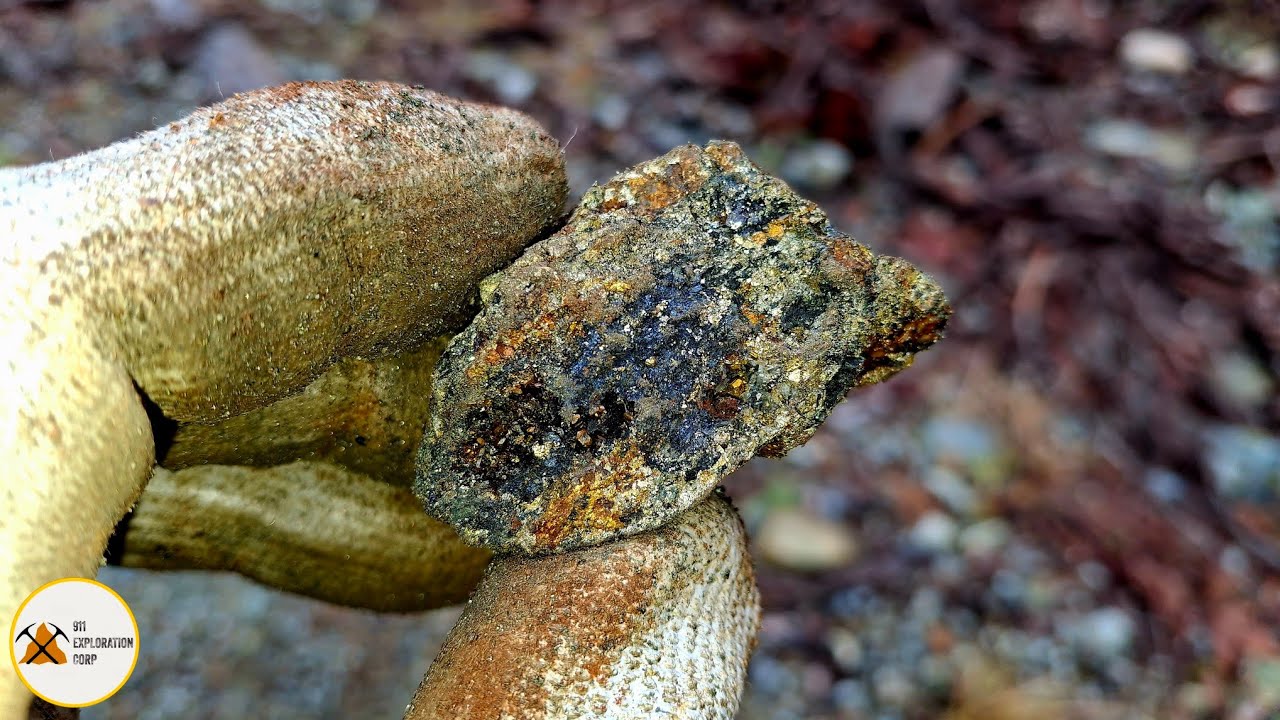 While Digging In The Ditch We Found Gold Bearing Quartz!