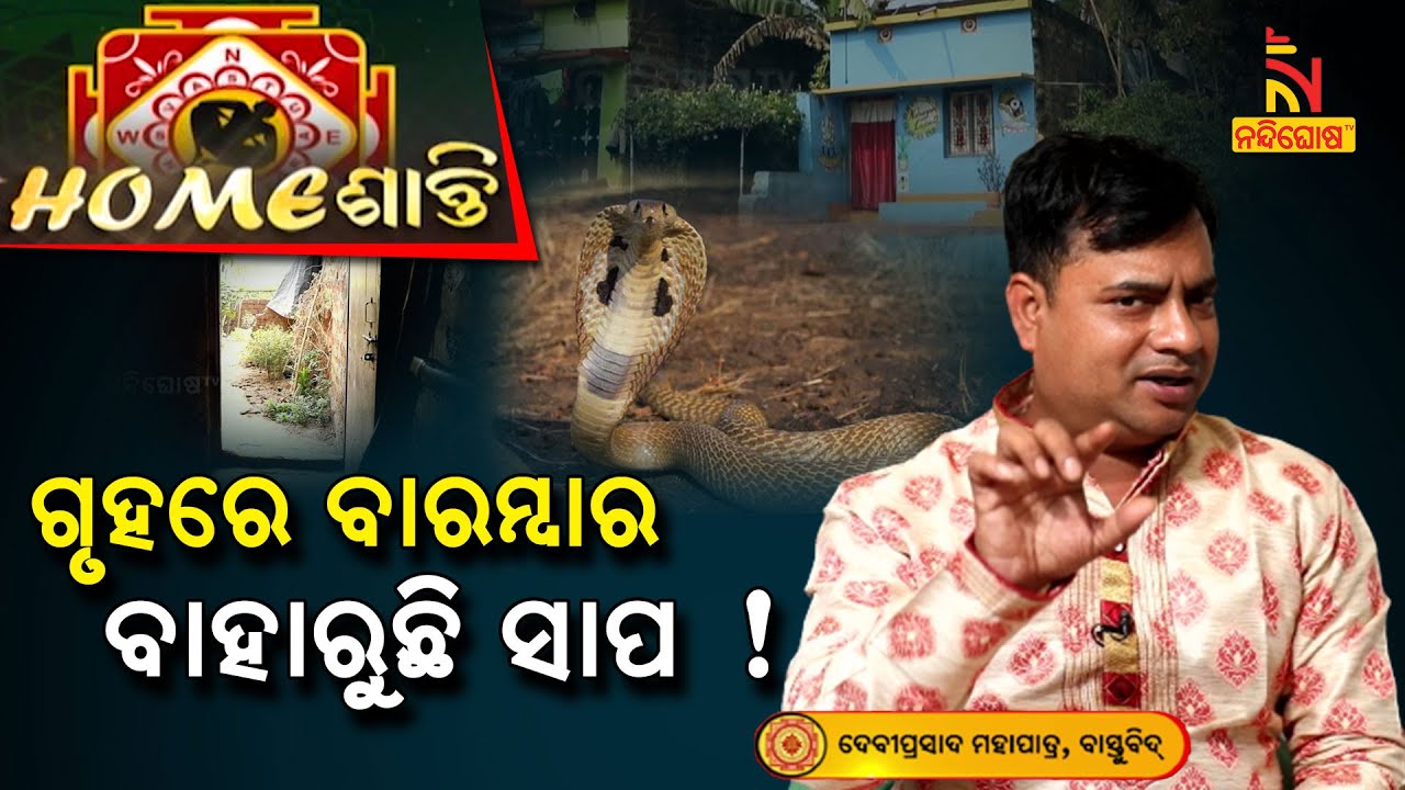 ଗୃହରେ ସବୁବେଳେ ଲାଗିରହୁଛି ସର୍ପର ଭୟ..ମିଳୁଛିକି କିଛି ଅଶୁଭ ସଙ୍କେତ…| Homeshanti Vastu | Nandighosha TV