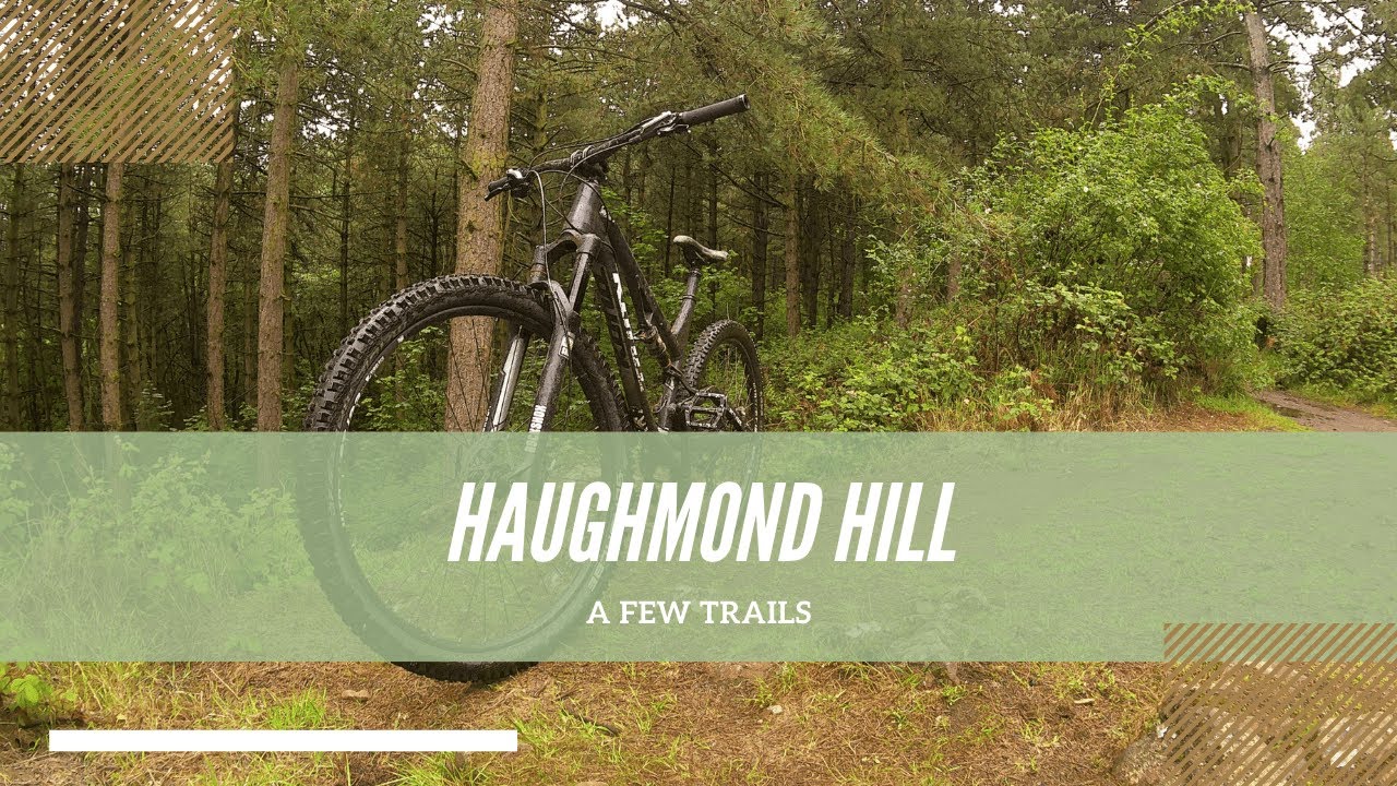 Haughmond Hill a few trails - MTB