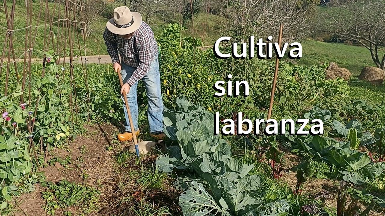 Cultiva sin labrar, Agricultura regenerativa #nodig