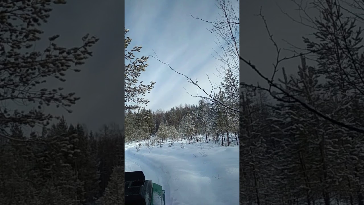 Ростин БК