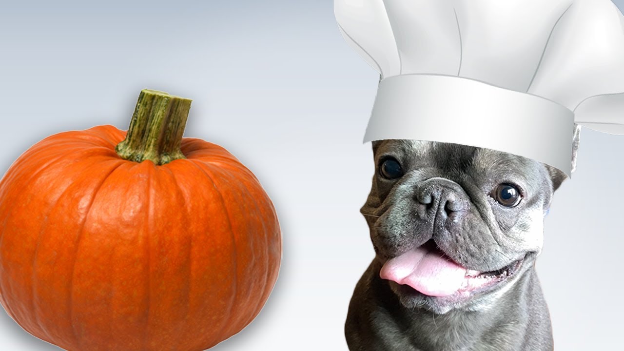 Dog Bakes Dog Treats | Ep.1 Pumpkin Spice Cookies