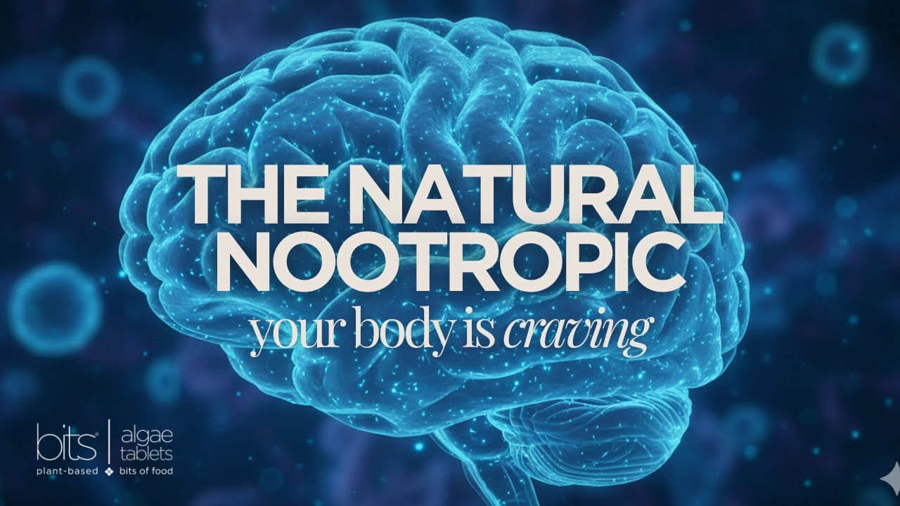 Spirulina: The Natural Nootropic Your Brain Is Craving