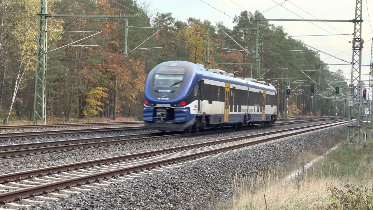 Züge in Eberswalde und Nassenheide