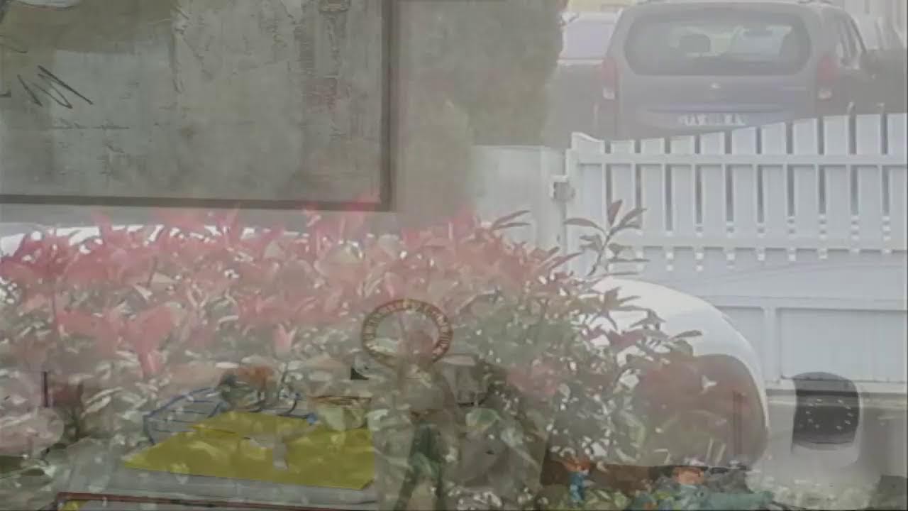 Diffusion en direct de Thierry QUELQUEJAY