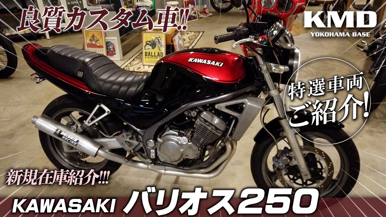 「他にありますか？動物エンブレムのオートバイ」バリオス250★新規在庫のご紹介！！！カスタムネイキッド専門店 KMD YOKOHAMA