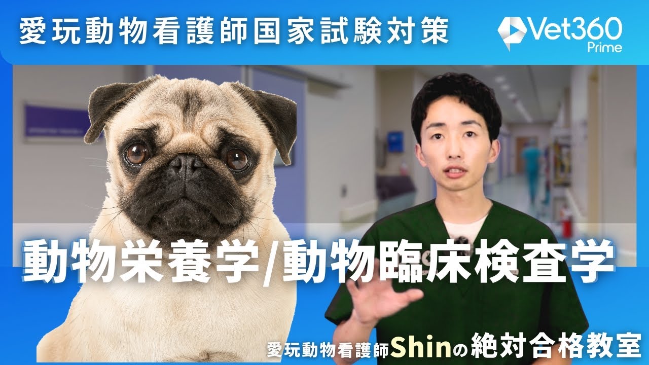 【#16 動物栄養学・動物臨床検査学】愛玩動物看護師国家試験：愛玩動物看護師Shinの絶対合格教室