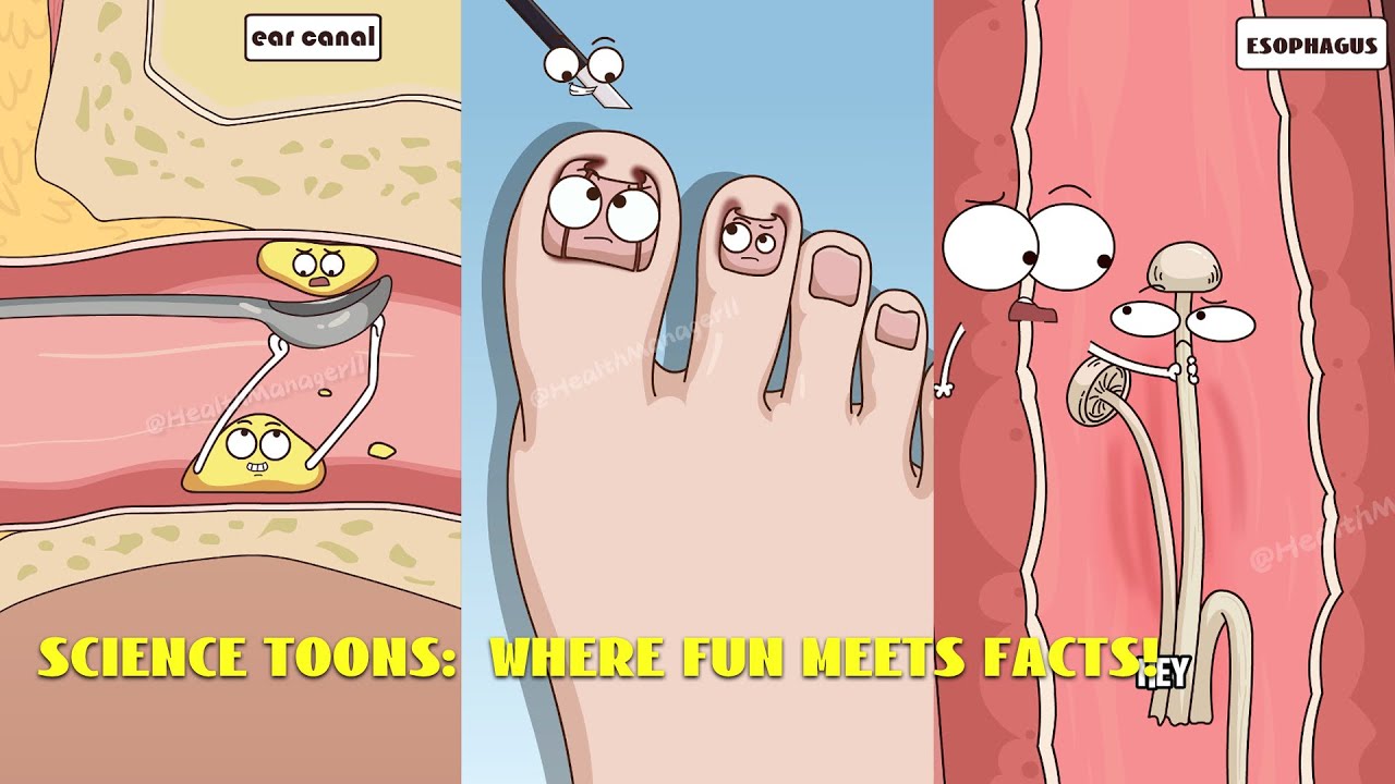 A collection of easy-to-understand science animation videos#health #animatin #video 