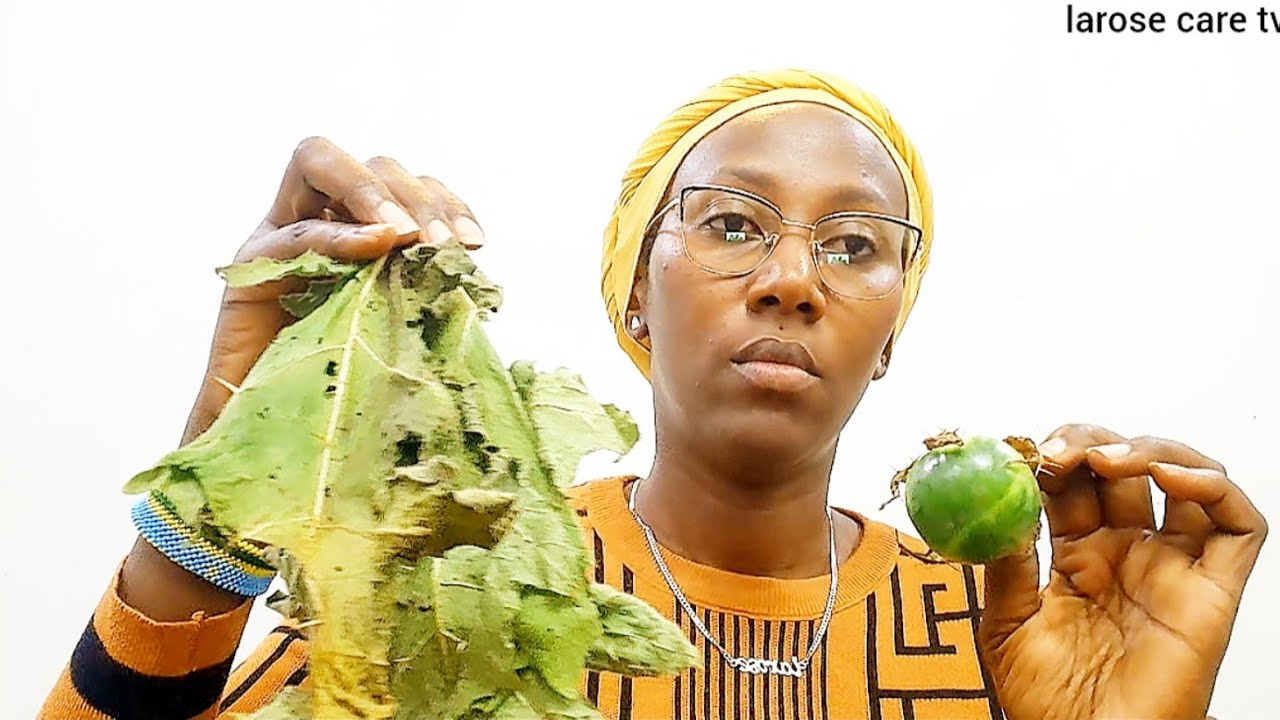 Umuti ukuraho icyangiro gikomeye（Utera igikundiro,kubona akazi,gukundwa ku bantu bose）