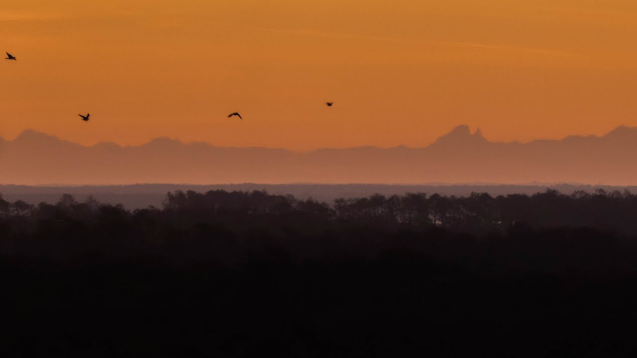 Reprise de la saison des mirages sur la dune du Pilat